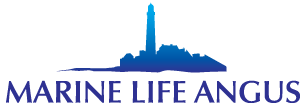 Marine Life Angus logo